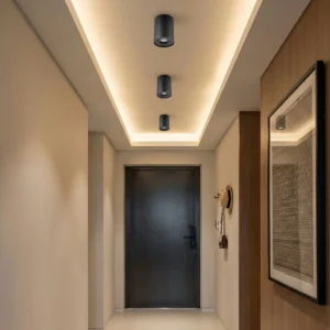 Plafón Orientable Moderno GU10 Negro para Techo Aluminio - Image 2