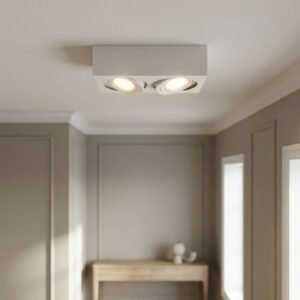 Plafón RIMINI Moderno de Techo Blanco con 2 Luces GZ-10 - Image 1