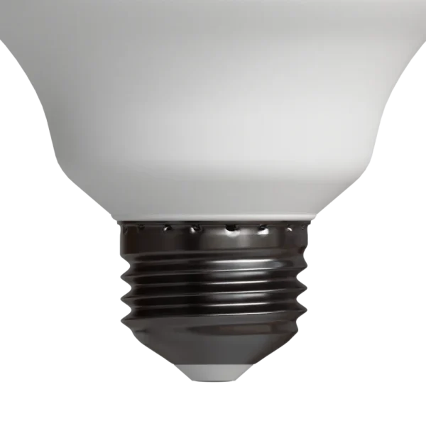 BDAP 2400 01 6