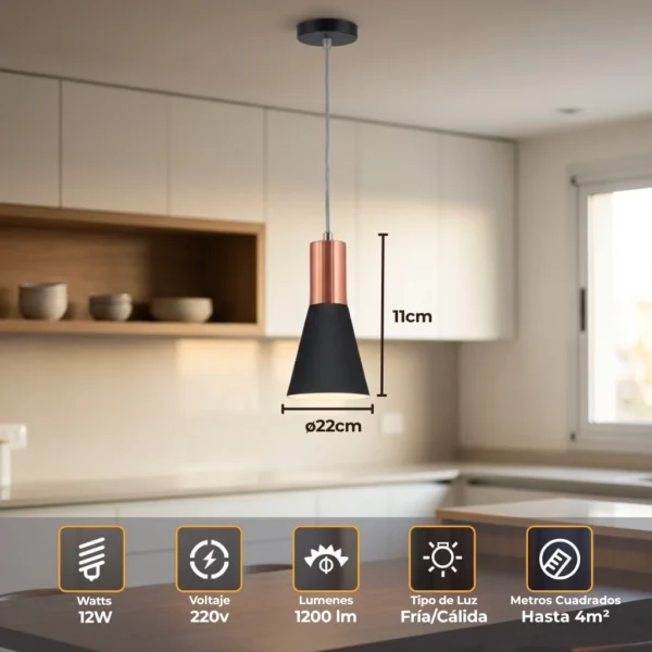 MARKAS 1881 C1NU dimension 1