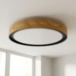 Plafon Brévia — Acrílico moderno, luz integrada (LED)