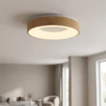 Plafon Épernay — Acrílico moderno de luz continua (LED)